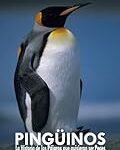 Los Mejores Aparatos de Calefacción y Aires Acondicionados: Descubre los Pingüinos Silenciosos ideales para tu Hogar